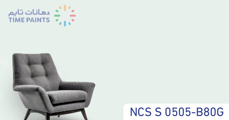 NCS S 0505-B80G