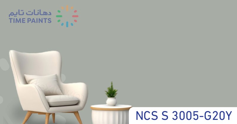 NCS S 3005-G20Y