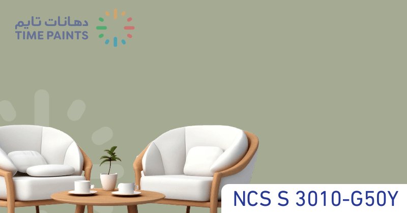 NCS S 3010-G50Y