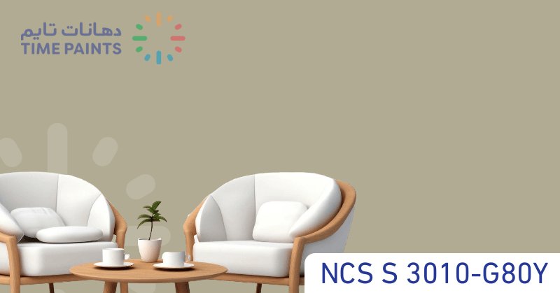 NCS S 3010-G80Y