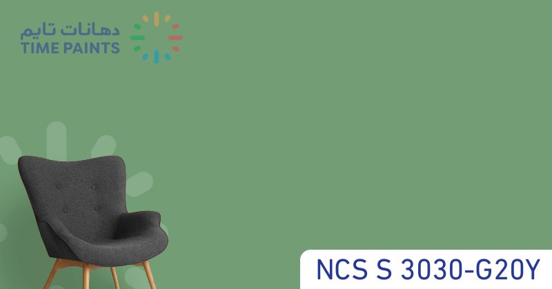 NCS S 3030-G20Y