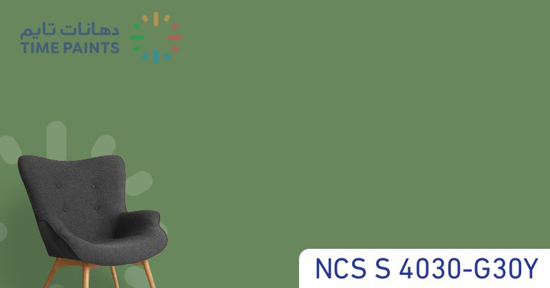 NCS S 4030-G30Y