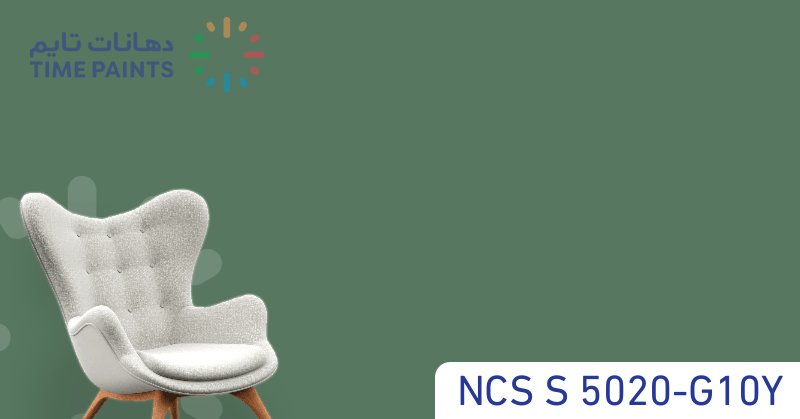 NCS S 5020-G10Y