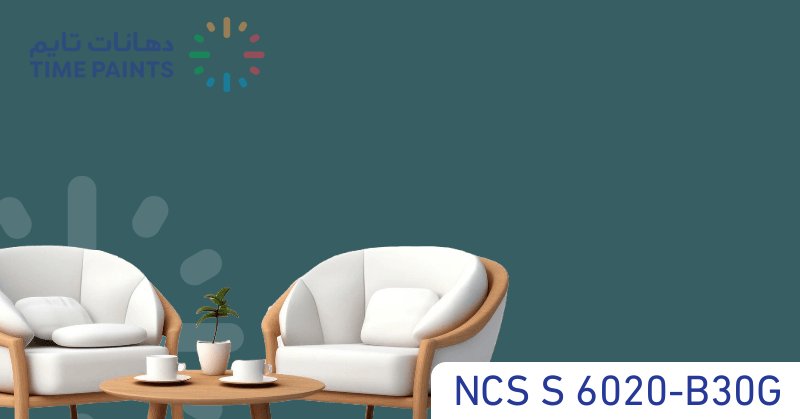 NCS S 6020-B30G