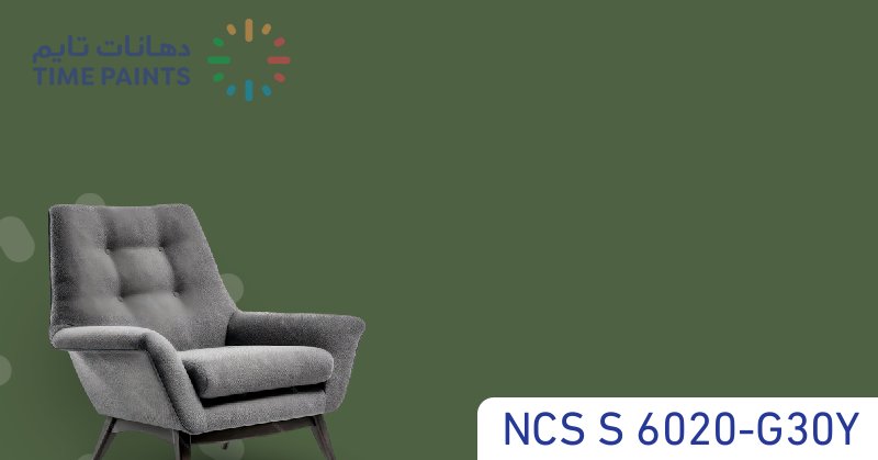 NCS S 6020-G30Y