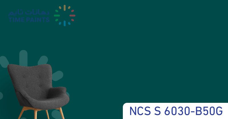 NCS S 6030-B50G