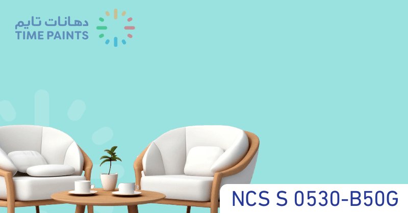 NCS S 0530-B50G