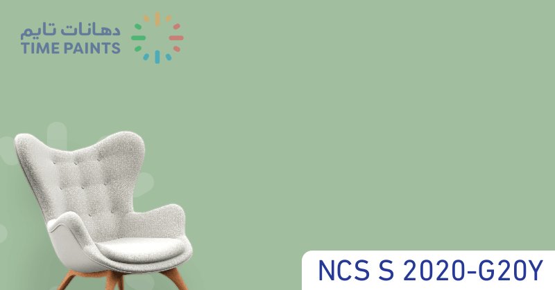 NCS S 2020-G20Y