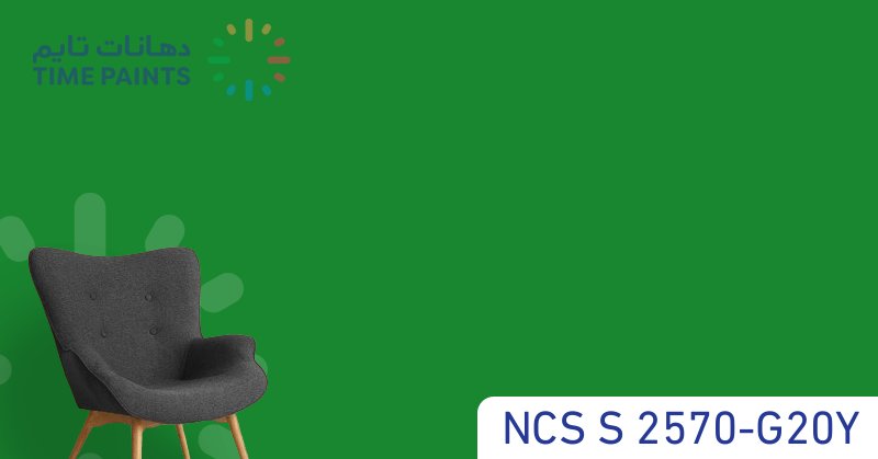 NCS S 2570-G20Y