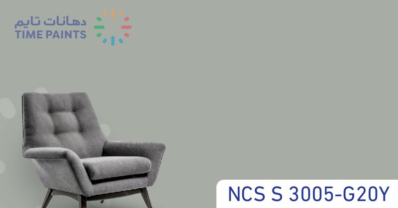 NCS S 3005-G20Y