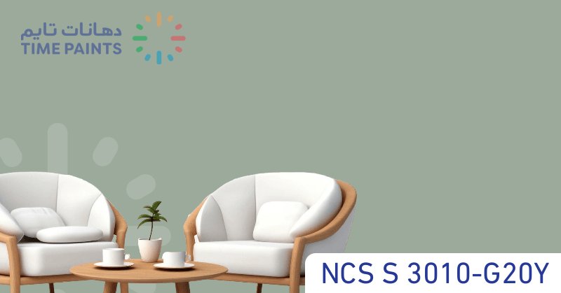 NCS S 3010-G20Y