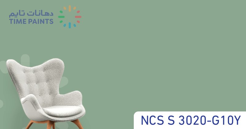 NCS S 3020-G10Y