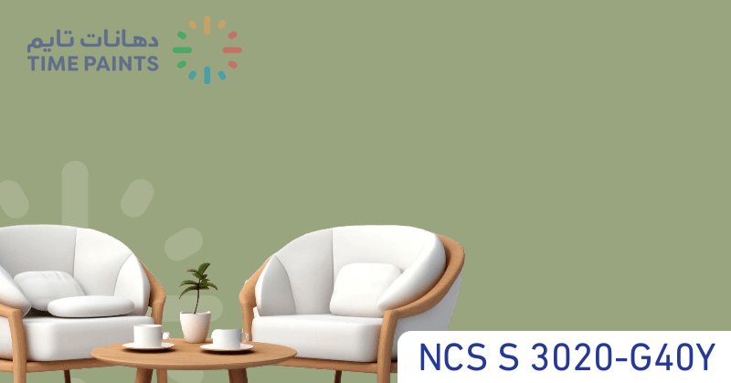 NCS S 3020-G40Y