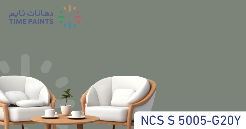 NCS S 5005-G20Y