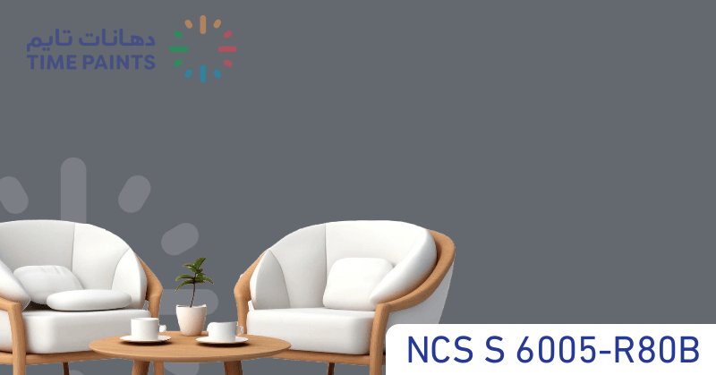 NCS S 6005-R80B