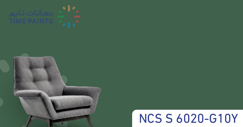 NCS S 6020-G10Y