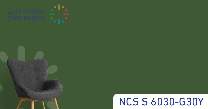 NCS S 6030-G30Y